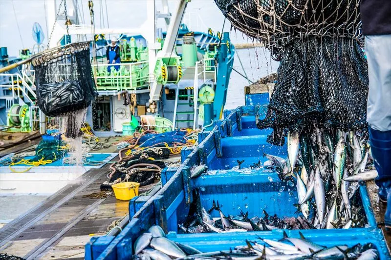特定技能の業務区分「漁業」で働くための条件